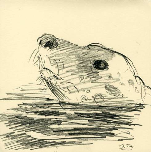 londonstives.netter.5