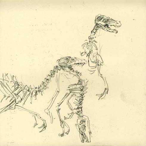 netter.nathistory.smalldinos