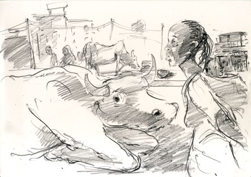 netter.nairobi.girlwithcow